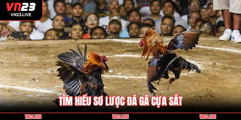 Tìm hiểu sơ lược đá gà cựa sắt 